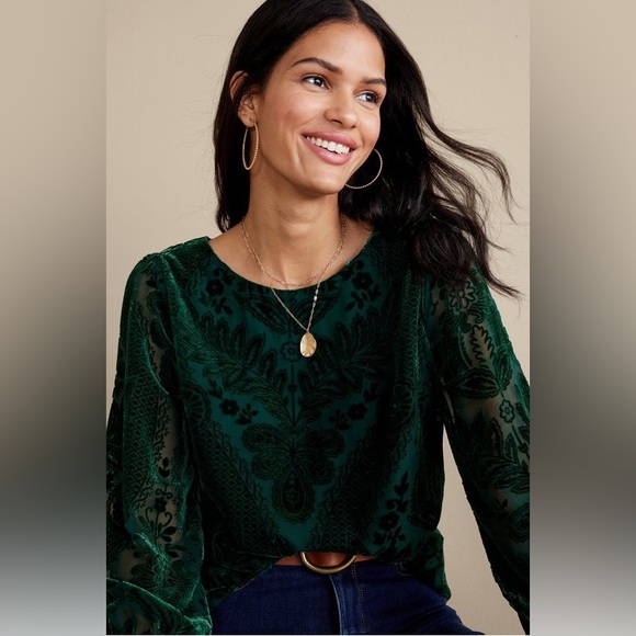 Soft Surroundings Vanetta Velvet Top Emerald 2X NWT - Picture 3 of 12